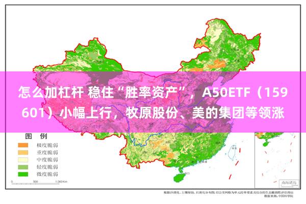 怎么加杠杆 稳住“胜率资产”，A50ETF（159601）小幅上行，牧原股份、美的集团等领涨