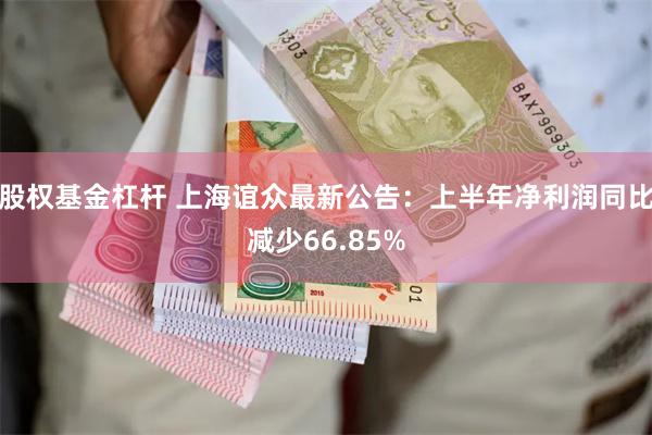 股权基金杠杆 上海谊众最新公告：上半年净利润同比减少66.85%