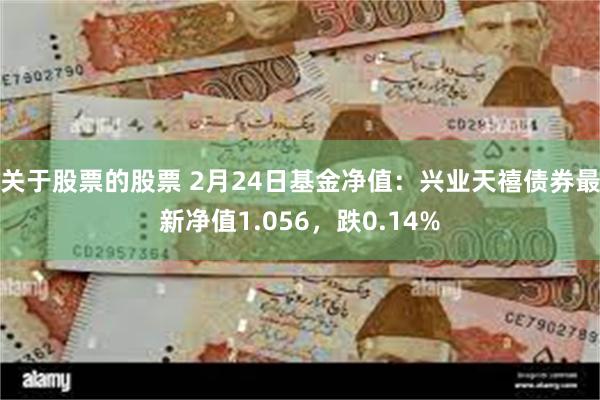 关于股票的股票 2月24日基金净值：兴业天禧债券最新净值1.056，跌0.14%