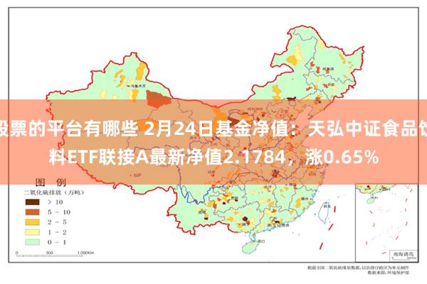 股票的平台有哪些 2月24日基金净值：天弘中证食品饮料ETF联接A最新净值2.1784，涨0.65%